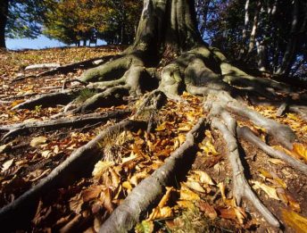 Seconda tappa della traversata della Val Grande