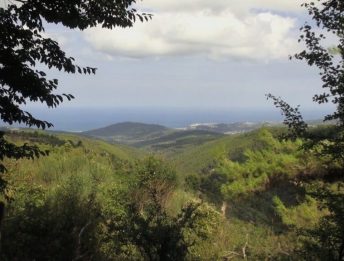 Puglia: Il Cammino dell’Angelo o dell'Arcangelo