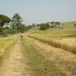 MURGIA: Le Grandi Doline