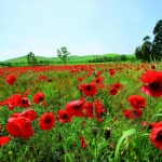 Anello di Monte Raga