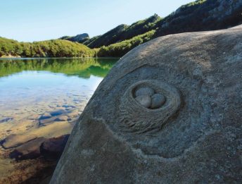 Itinerari del Gusto a Parma: Trekking tra natura e sapori