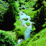 L'anello del monte Gariglione