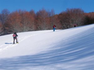 Etna: Piano Provenzana e la frattura del 2002