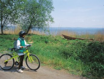 Via FRANCIGENA: da Orvieto a Bolsena