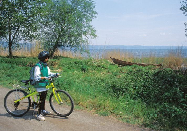 Via FRANCIGENA: da Orvieto a Bolsena