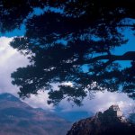 Dalla Sacra di San Michele a Montebenedetto