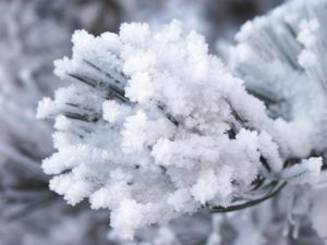 Dolomiti Friulane: Casera Galvana