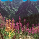 Le terre del Marchesato: il Monte Roccerè