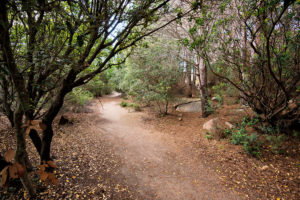 un anello nel cuore dell'isola