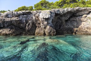l’isola dei pini d’Aleppo