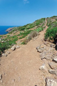 Tra le rocce di Ustica: da Torre Santa Maria al Faro dello Spalmatore