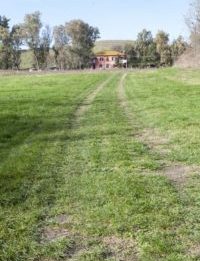 Agro romano: anello storico-naturale a Castel di Guido