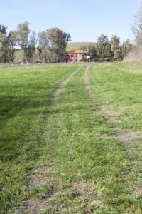 Agro romano: anello storico-naturale a Castel di Guido