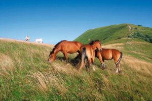 Ebro: il monte che sorveglia la Val Curone