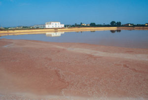 Sicilia: l'Isola Lunga dello Stagnone