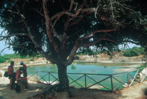 Sicilia: il mini arcipelago dello Stagnone